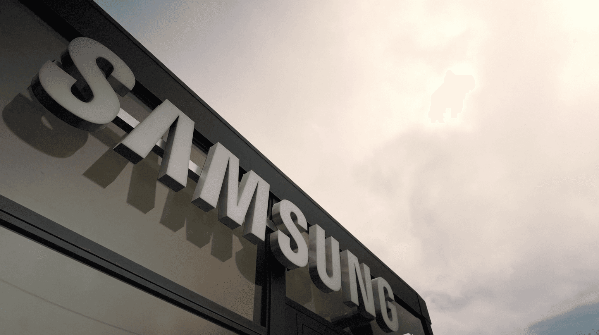 Bringing Brands to Life Through People, On the Ground, In the Moment.